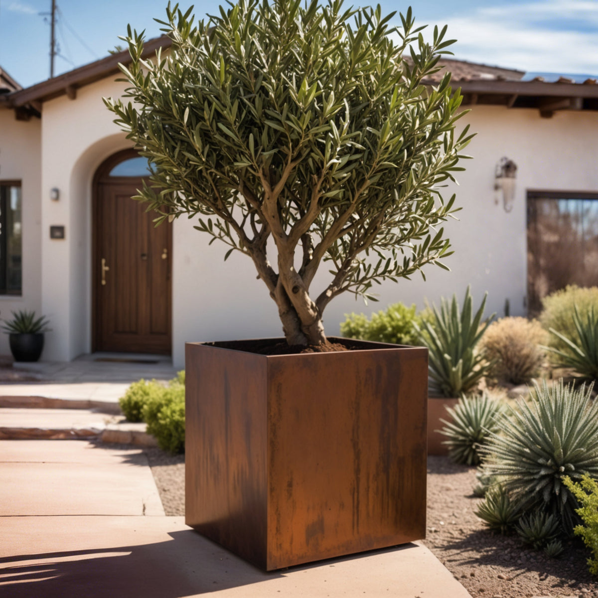 Oversized Corten Steel Cube Planters - FREE SHIPPING!