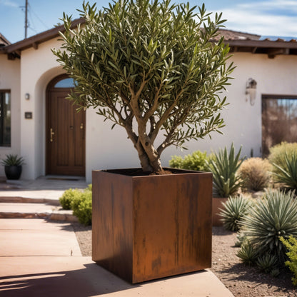 Oversized Corten Steel Cube Planters - FREE SHIPPING!