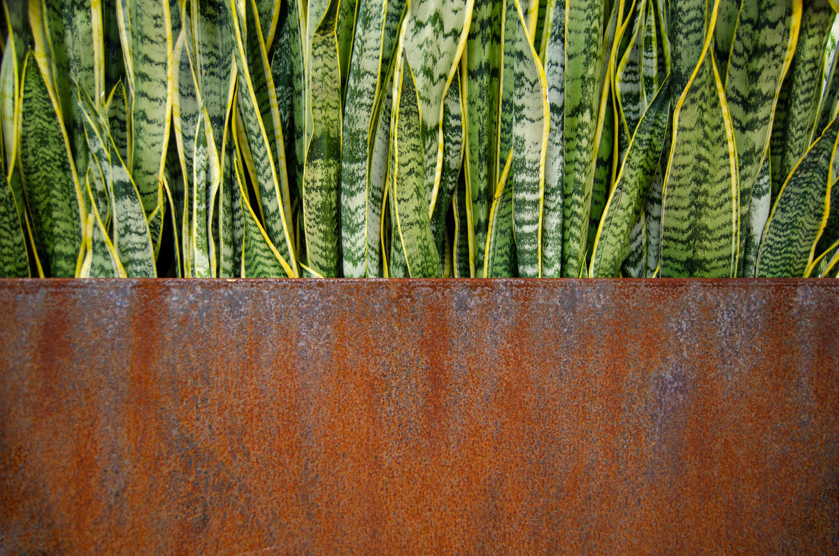 Corten Steel Edge Planters - FREE SHIPPING!